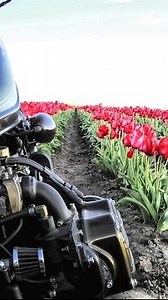 NO QUARTER CUSTOM HONDA GL1100 COLDWING BOBBER Part One of Two
