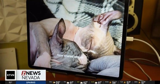 What the Tech: Giving old electronics new life