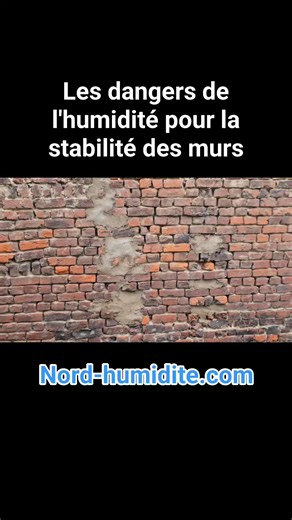L'humidité est dangereuse pour la maison, votre santé et votre sécurité #Lille #humidité #maconnerie #Danger #dangereux #mur | Aqua-Control : www.nord-humidite.com