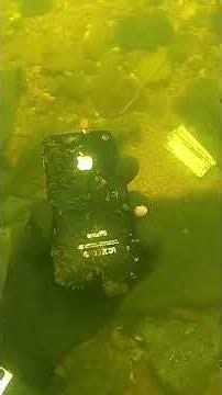 #scubadiving #treasure #underwater
