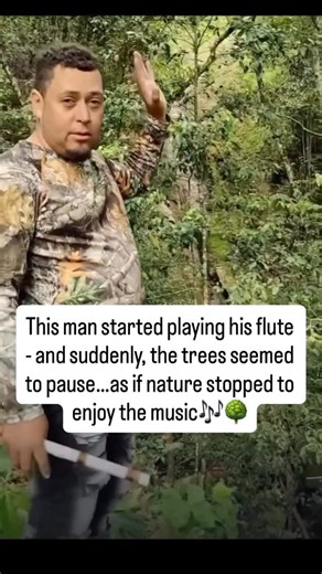 Whys of Life | Trees don’t have ears, but they do sense vibrations — including those caused by music, wind, or footsteps nearby. Studies have shown that... | Instagram