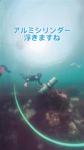【初心者必見】アルミタンクが勝手に浮いて焦る人へ！ #スキューバダイビング #ダイビング #ダイバー #ダイビング初心者 #オープンウォーター #scubadiving