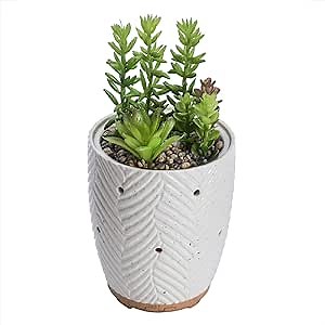 Artificial Succulent Plants Potted Diffusers for Essential Oils with 7 Colors LED Light,Ceramic Cool Mist Super Quiet Aromatherapy Diffuser for Home Office Bedroom