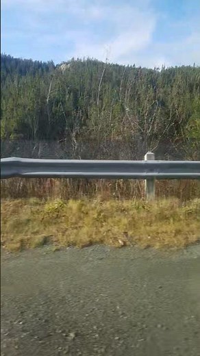 caillou's first day of school rap