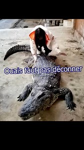 Faut pas déconner | Jeremandtheduck