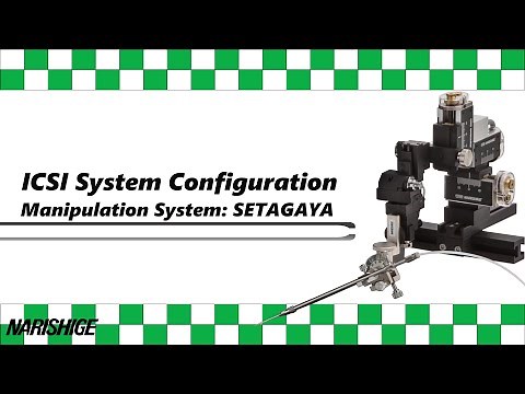 ICSI System Configuration