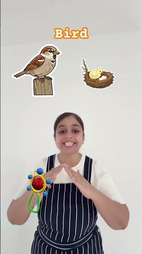 I Have a Bird 🐦 | Animal Homes Song for Kids | Learn Birds & Their Young Ones