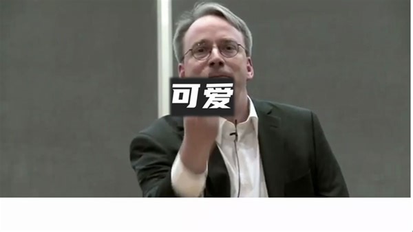 Linux 之父Linus 新年首骂：和谷歌大佬大吵 4 天 “你的代码就是垃圾”