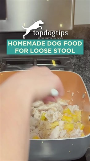  Dealing with a pup that has tummy troubles? This homemade dog food is gentle and soothing. 菱 It's designed to help firm up loose stools. Made with easy-to-digest ingredients, it's a great way to support digestive health naturally.  Click here for the full recipe: https://topdogtips.com/homemade-dog-food-for-loose-stool/ #dogfood #dogfoodrecipe #homemadedogfood #diydogfood #doghealth #dogcare | Top Dog Tips | Facebook