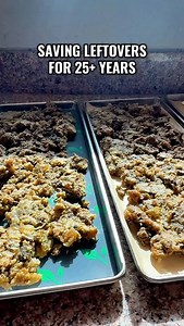 Now if only I had leftover gravy I could freeze dry so I could make a Thanksgiving turkey sandwich with a moist maker. 🤤 #thanksgivingdinner #leftovers #freezedried #preservingfood #selfsufficient | My Basic Homestead