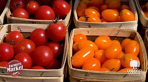 3.5K views · 13 reactions | From fruits and vegetables to baked good...