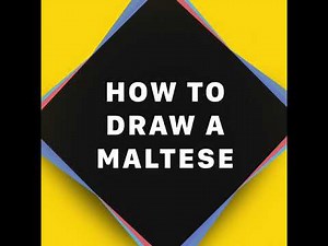 How To Draw a Maltese