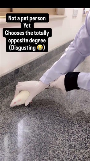 Rat handling | subscribe for more such videos | pharmacy #vlog #rat #lab #foryou #labday