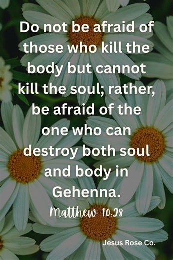 Catholic Bible Study | Matthew 10:28 | Jesus Rose Co. ✝️