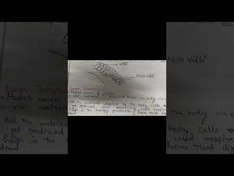 Life processes, part 4 , class 10 , Absorption in small intestine, function of Villi 