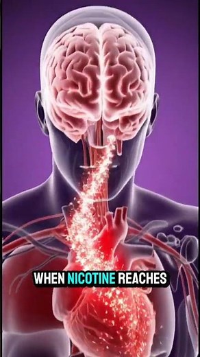 "The Hidden Effects of Vaping on Your Body"