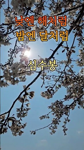 #낮엔해처럼밤엔달처럼#심수봉#심수봉찬양#은혜의찬양#감사