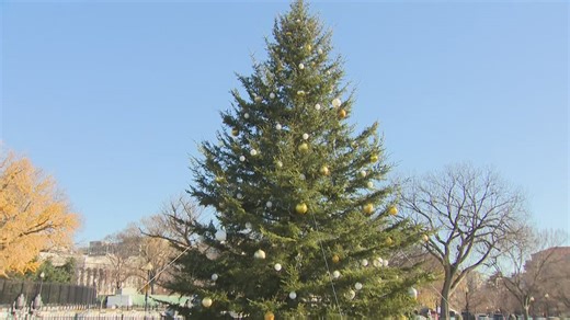 National Christmas Tree to light up the Ellipse