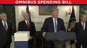 As a matter of national security, I’ve signed this omnibus budget bill. There are a lot of things I’m unhappy about in this bill, and I say to Congress, I will never sign another bill like this again. | Donald J. Trump