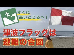 津波フラッグは避難の合図 〜気象庁×日本ライフセービング協会〜