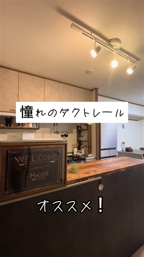 賃貸暮らしのダクトレール照明 DIYアイデア