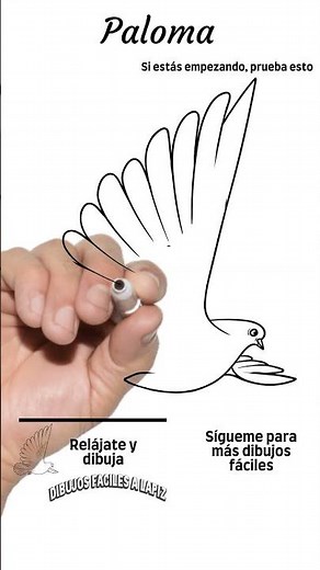 Cómo Dibujar una Paloma (Dove) ✏️🕊️ | Dibujos Fáciles a Lápiz