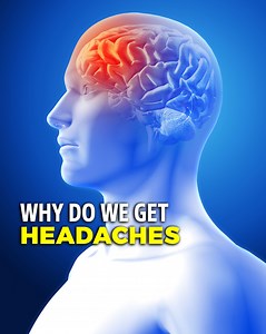 Why do we get headaches, what causes them and how it happens. | Doctor ASKY