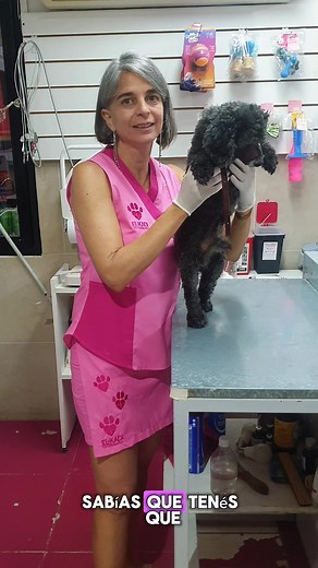 El-Kadi Veterinaria: Consultas Presenciales y Online
