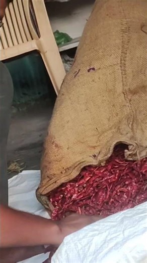 Red🌶️ #NS_MASALE Cleaning #Lal_Mirch #bollywood #haryanvisong #new ‪@N.S.MASALE‬ ‪@Daasbholeka‬