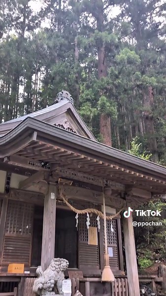 東京のパワースポット: 九頭龍神社の魅力