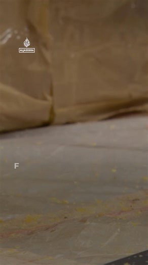 85K views · 657 reactions | Opium production is booming in Myanmar as displaced civilians reluctantly become poppy farmers to survive the country’s civil war. | Al Jazeera English | Facebook