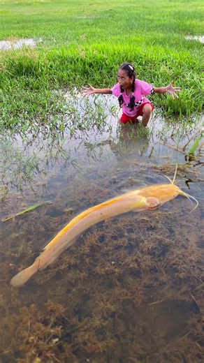 Essential Bushcraft Skills for Survival in the Forest