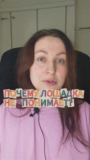 Почему лошадка не понимает?