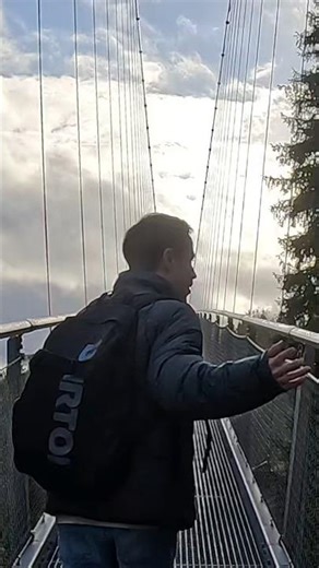 Titonation x WildLine