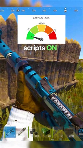 scripts used are in comments #rust #gaming #rustgame