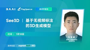 《See3D：基于无视频标注的3D生成模型》