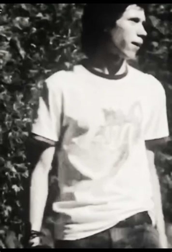 Copypastas Divertidos do Shrek para 2026