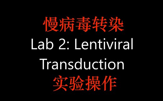 慢病毒转染Lentiviral Transduction-实验操作