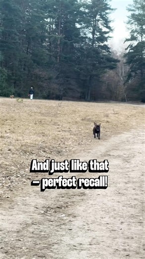 From Distraction to Recall – 1.5 Years in the Making