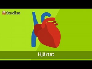 Hjärtat (Biologi) - www.binogi.se