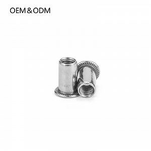 [Hot Item] M3-M16 Stainless Steel Rivet Nuts Aluminium Flat Head Semi-Hexagonal Blind M8 Rivet Nut