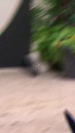 Jessica Springsteen: The Queen of Equestrian Sports