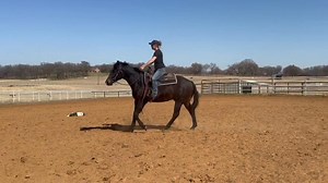 Makin Me Smile For your consideration This is Greg. Greg wants to be a western horse too and everyone knows I can’t find my hat, so he needs an owner who can 🤷🏼‍♀️ He’s by MMWW x Chex My Principles he’s actually a full brother to Scoops who was one of my favorites. He’s in the NSBA IF, BCF, super sires & premier sires. He’s a happy horse and wants to be a good boy. | Beth Case