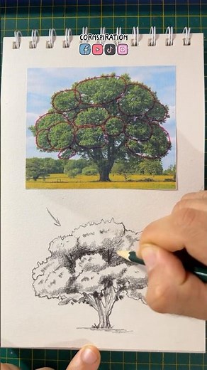 How to draw trees from scratch 🌳 #drawing #art #tutorial #drawing #art