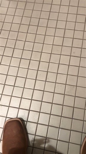 Daily Dollop #3 | Join Us TODAY to Poop With A Buddy