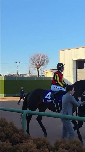 🇯🇵 #2025年 #有馬記念 #優勝 #馬 #パドック #グランプリ #日本 #競馬 #ミュージアムマイル #クリスチャン #デムーロ #騎手 #horseracing #horse #jockey