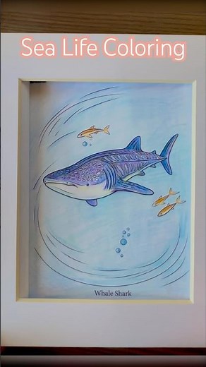 Whale Shark Coloring Page from Ocean Dreams Coloring Book