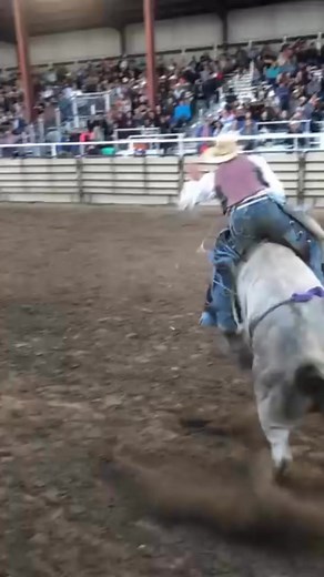 Shane Adams on Reels