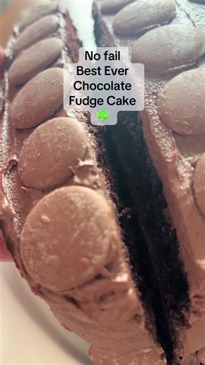 The Best Chocolate Fudge Cake Recipe You Can Make