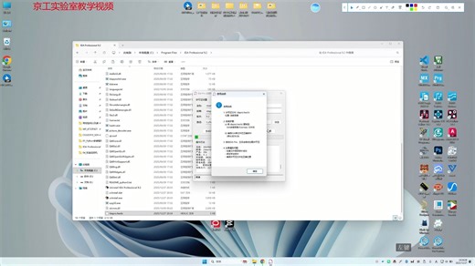最新 IDA Professional 9.2反汇编软件安装视频教程